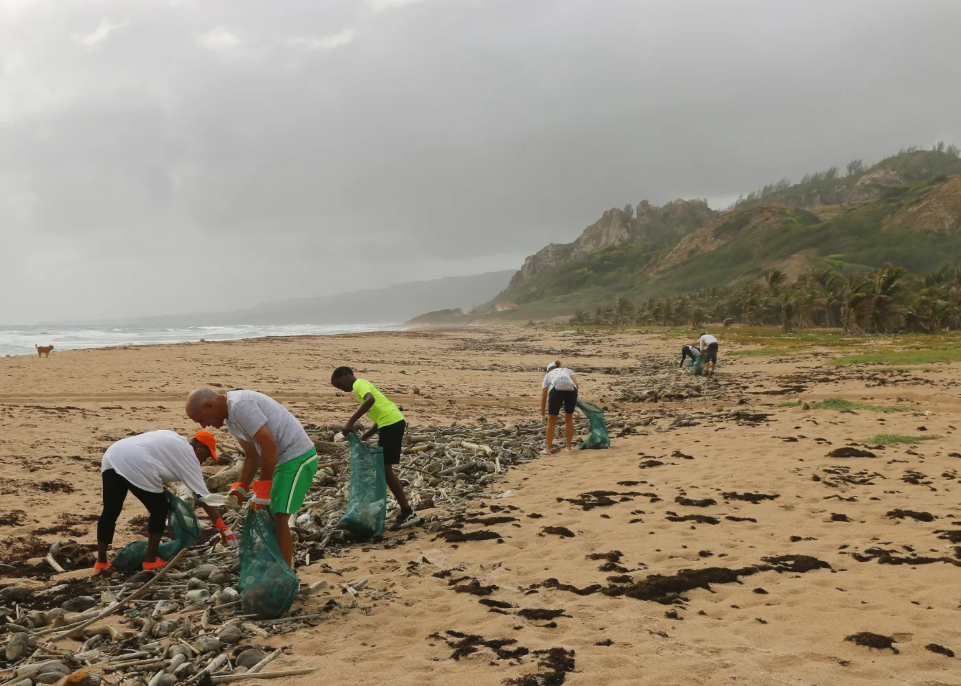 Volunteers cleaning a beach